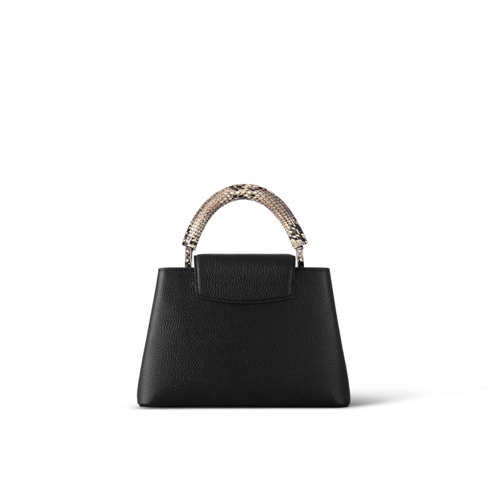 Сумка Louis Vuitton Capucines BB