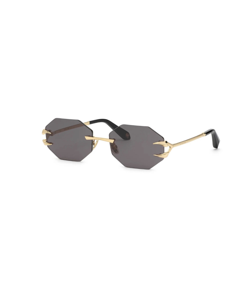 Солнцезащитные очки Roberto Cavalli SRC 005 300