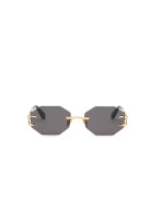 Солнцезащитные очки Roberto Cavalli SRC 005 300