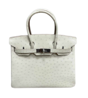 СУМКА Hermes BIRKIN 25 ИЗ КОЖИ СТРАУСА