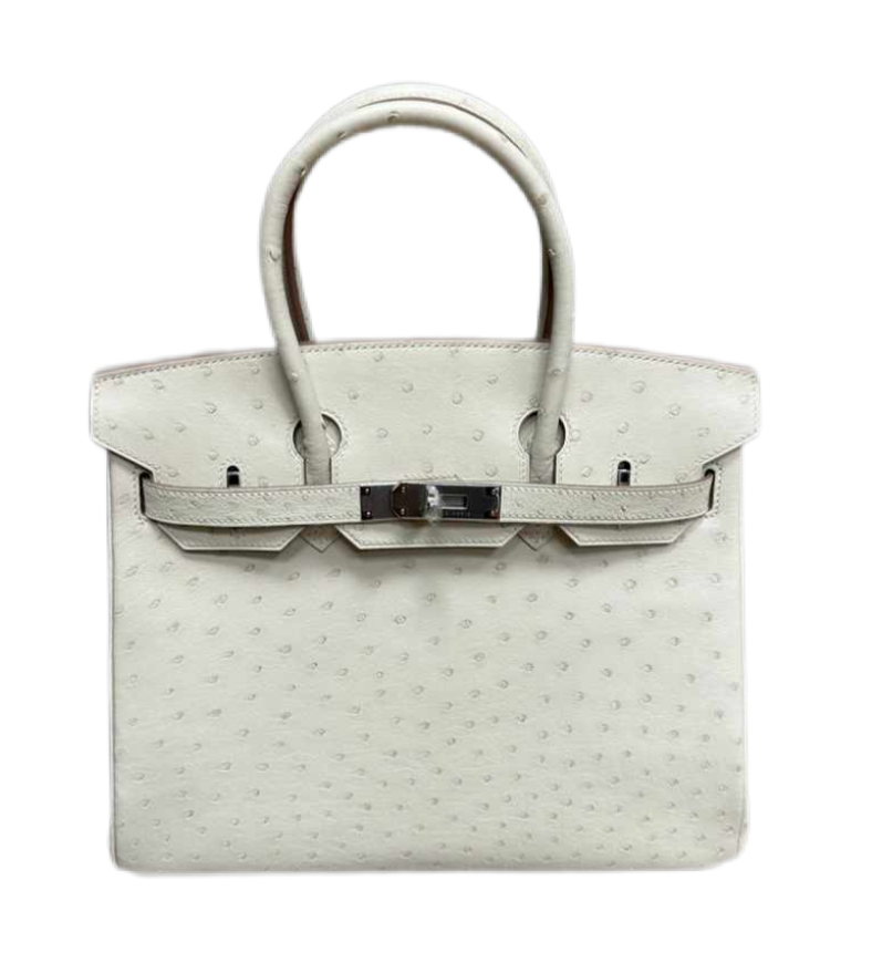 СУМКА Hermes BIRKIN 25 ИЗ КОЖИ СТРАУСА