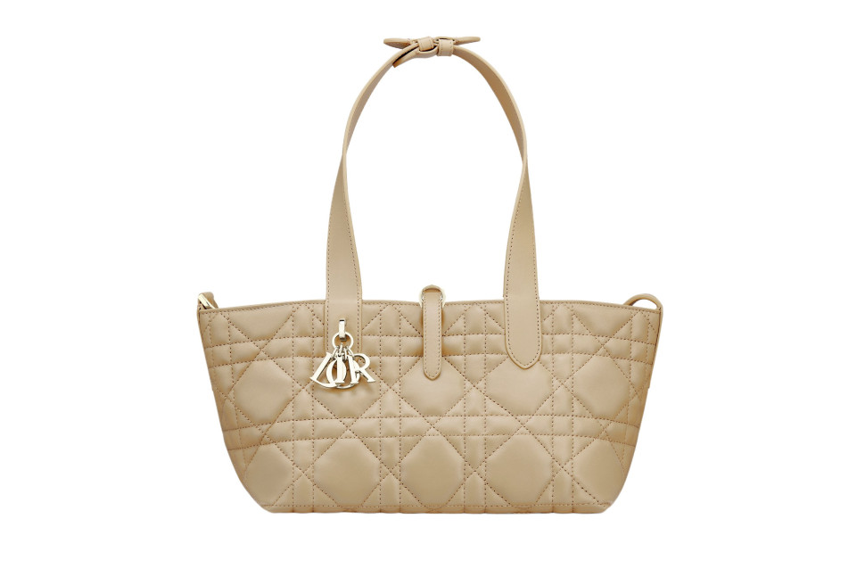 Сумка DIOR TOUJOURS, маленького размера