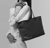 Сумка GOYARD Artois PM