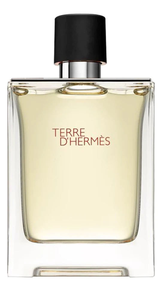 Hermes Terre D'Hermes Pour Homme 100 мл, туалетная вода