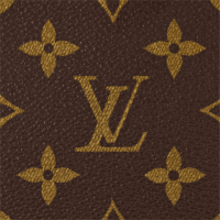 Обложка для паспорта Louis Vuitton