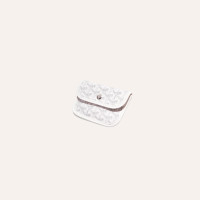 Мини-сумка GOYARD Anjou