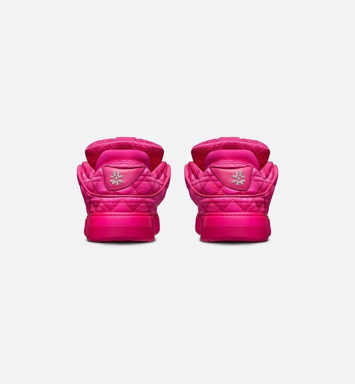 Dior СКЕЙТЕРСКИЕ СНИКЕРЫ B9S DIOR BY ERL