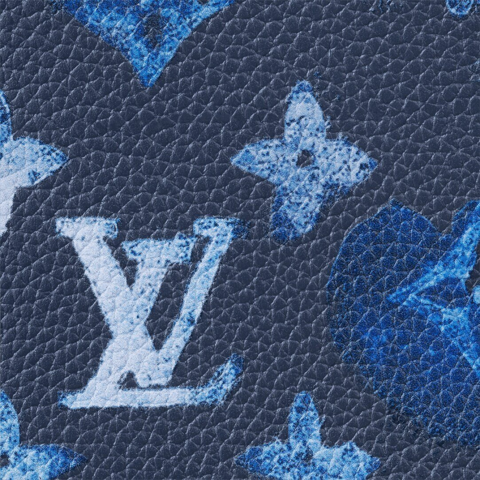 Кошелек Louis Vuitton BRAZZA