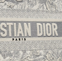 Сумка Dior Book Tote Dioriviera, модель маленького формата