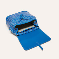 Мини-рюкзак GOYARD Alpin