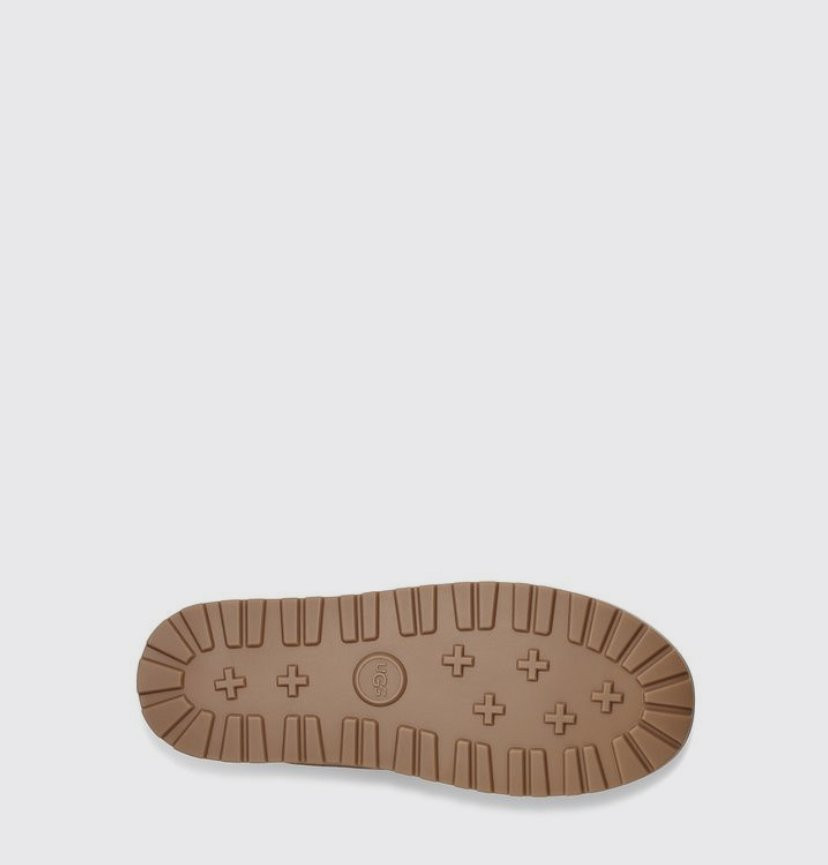 Ботинки угги Ugg CLASSIC MINI LACE-UP WEATHER BOOT