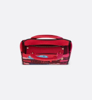 СУМКА Dior LADY D-LITE, МОДЕЛЬ СРЕДНЕГО ФОРМАТА