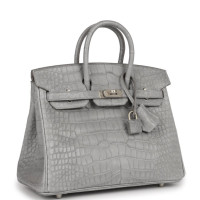 Сумка Hermes Birkin 25 Gris Perle Verso Matte Alligator Brushed