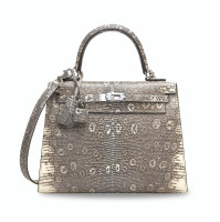 СУМКА Hermes KELLY 25 БЛЕСТЯЩИЙ OMBR? SALVATOR LIZARD