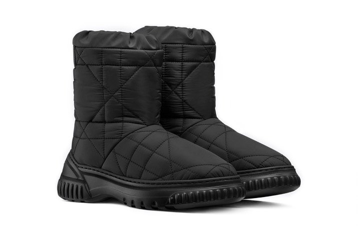 Ботинки Dior Frost