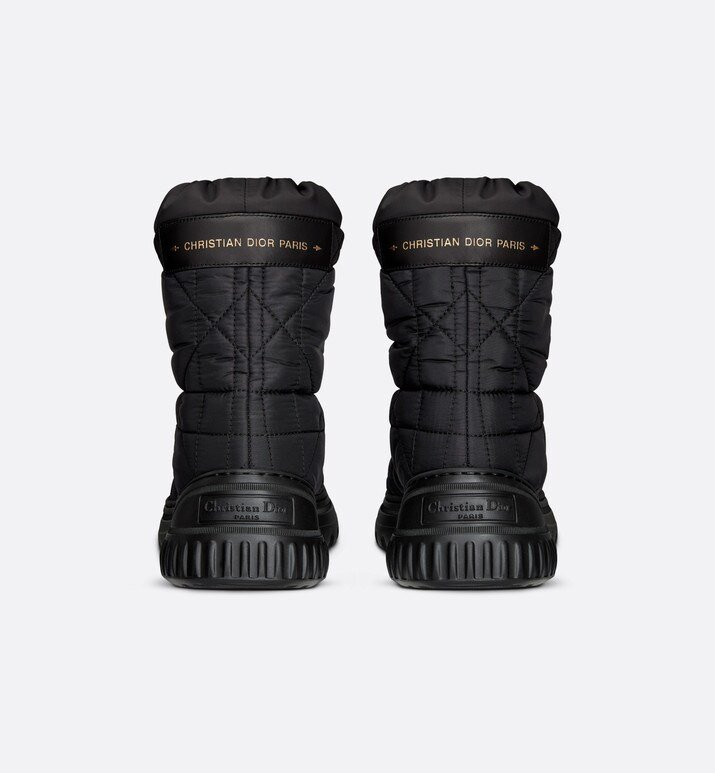 Ботинки Dior Frost