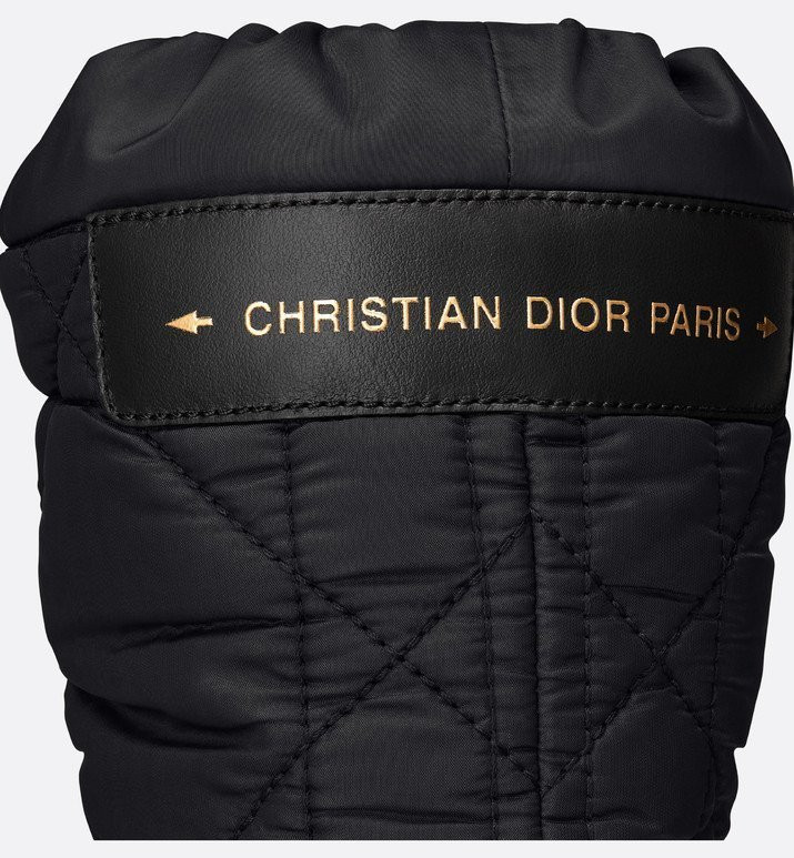 Ботинки Dior Frost