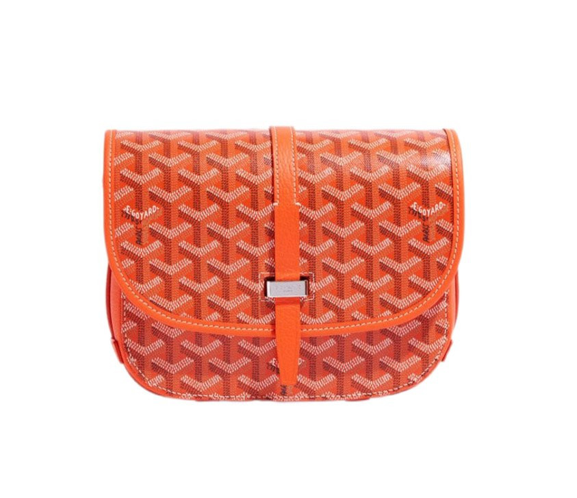 Сумка GOYARD Belvedere PM