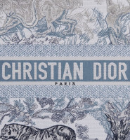 СУМКА DIOR BOOK TOTE, МОДЕЛЬ БОЛЬШОГО ФОРМАТА