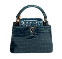 Сумка Louis Vuitton Capucines Mini